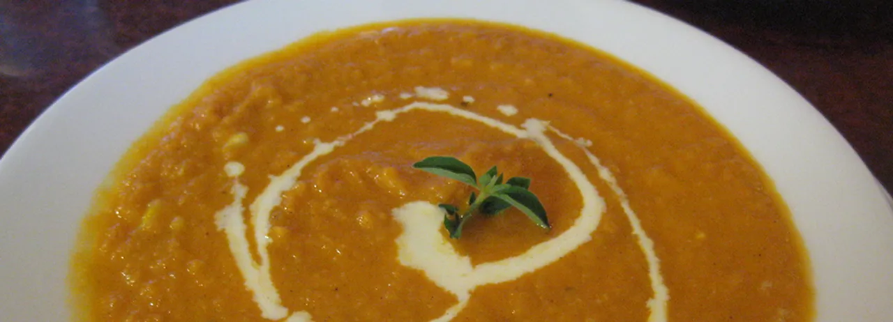 A wide white bowl of orange-gold carrot soup, finished with a swirl of double cream and a sprig of thyme.