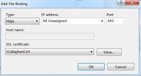 IIS binding - host name disabled