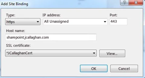 IIS binding - host name editable