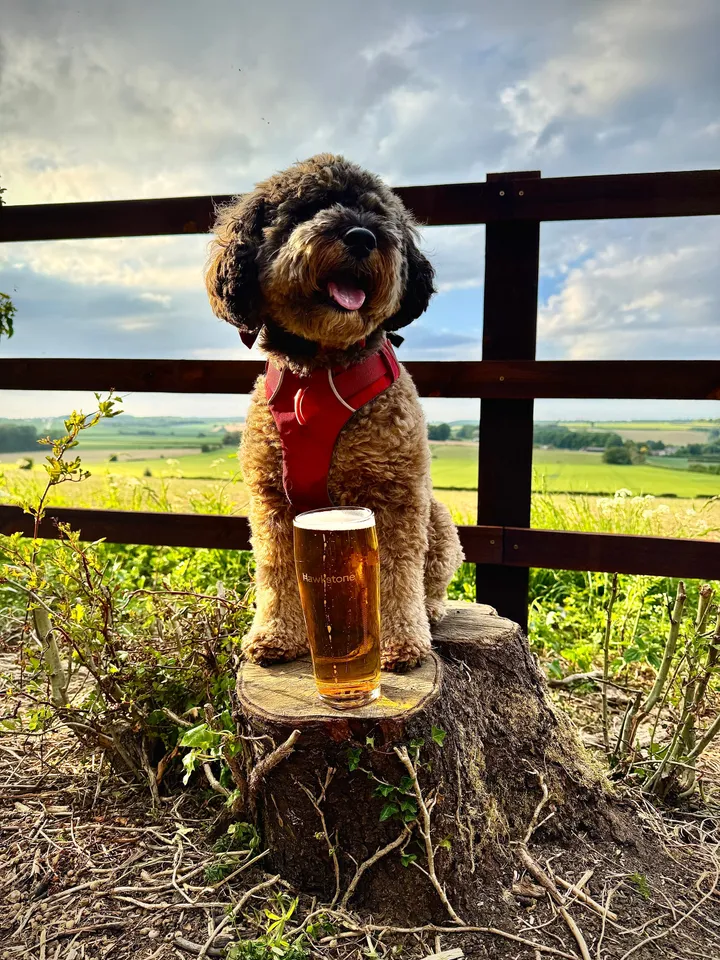 Visiting Clarkson's pub The Farmers Dog