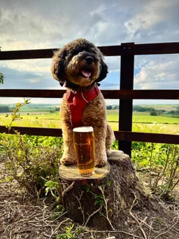 Visiting Clarkson's pub The Farmers Dog